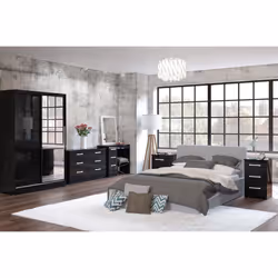 Larz 2 Door Sliding Wardrobe With Mirror-Black