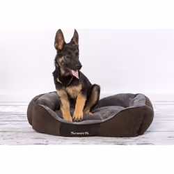 Scruffs Chester Box Bed Graphite 90 x 70 cm