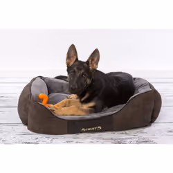 Scruffs Chester Box Bed Graphite 90 x 70 cm