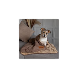 Dog/Pet Snuggle Blanket - Caramel Brown