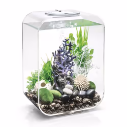 biOrb LIFE 15L Clear Aquarium Fish Tank with Multi Colour LED Lighting and Heater Pack
