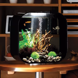 biOrb LIFE 30L Black Aquarium Fish Tank with Multi Colour LED Lighting and Heater Pack