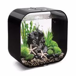 biOrb LIFE 30L Black Aquarium Fish Tank with Multi Colour LED Lighting and Heater Pack