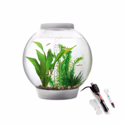 Baby biOrb 15L Aquarium in Silver with MCR LED Lighting and Heater Pack