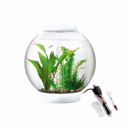Baby biOrb 15L Aquarium in White with MCR LED Lighting and Heater Pack
