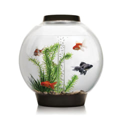 biOrb Classic 30L Aquarium in Black with MCR LED Lighting and Heater Pack