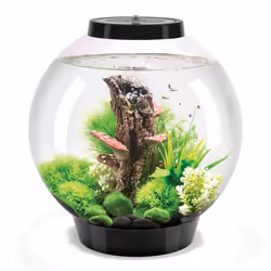 biOrb Classic 30L Aquarium in Black with MCR LED Lighting and Heater Pack