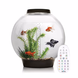 biOrb Classic 30L Aquarium in Black with MCR LED Lighting and Heater Pack