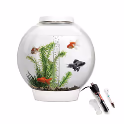 biOrb Classic 30L Aquarium in White with MCR LED Lighting and Heater Pack