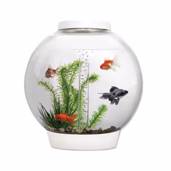 biOrb Classic 30L Aquarium in White with MCR LED Lighting and Heater Pack