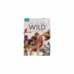 Spy in the Wild (DVD)