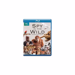 Spy in the Wild (BBC) (Blu-ray)