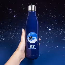 Fizz Creations 2080 drinking bottle Daily usage 500 ml Stainless steel Blue, Steel