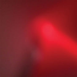 Alive AG The Incessant CD Punk Meat Wave