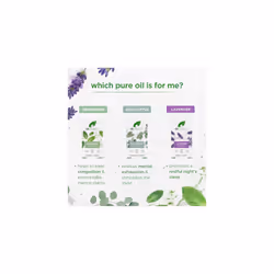 Eucalyptus Essential Oil, 100% Pure & Natural, Uplifting, for Congestion Relief, Aromatherapy, Diffusers, Massage, Vegan, Cruelty Free, Paraben & SLS