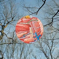 Alive AG Glean, Indie, CD, They Might Be Giants, Physical media, Essential Sales and Marketing Ltd. / Lojinx