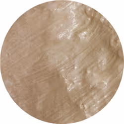 Nuvo - Embellishment Mousse - Chai Latte - 831n