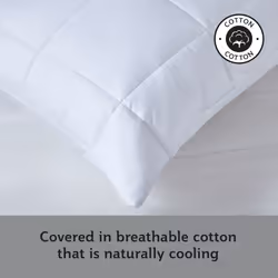 Sealy Side Sleeper Pillow - 2 Pack