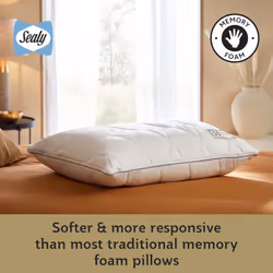 Sealy Dual Comfort Memory Foam Pillow - 2 Pack