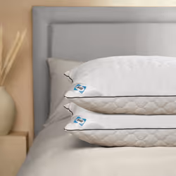 Sealy Deeply Full Pillow - 2 Pack