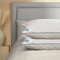Sealy Deeply Full Pillow - 2 Pack