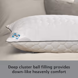 Sealy Deeply Full Pillow - 2 Pack