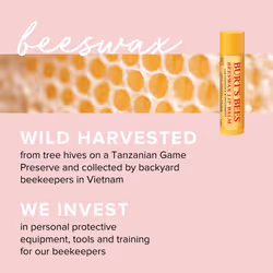 Lip Balm Multipack, Chapstick Lip Balms With Honey & Beeswax, Duo Value Pack, 2x4.25g