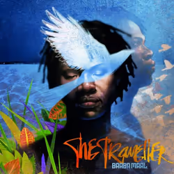 Proper The Traveller, Alternative, CD, Baaba Maal, Physical media, Adult, 1 discs