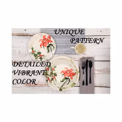 Tudor 12-Piece Premium Quality Round Porcelain Dinnerware Set  Service