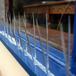 Bird or Pigeon deterrent Plastic Spikes x 5m 74238