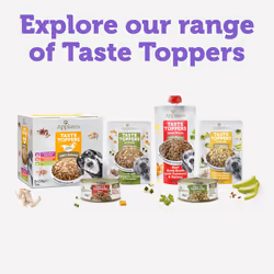 Applaws Natural Wet Dog Food Pouch, Grain Free Mixed Selection in Gravy 6 x 85g Pouches