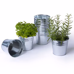 12pc Galvanised Iron Steel Flower Herb Plant Bucket Pot Planter Garden