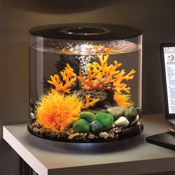 biOrb Tube 15L Aquarium, Black with Standard LED lighting and Heater Pack