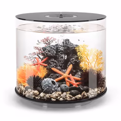 biOrb Tube 15L Aquarium, Black with Standard LED lighting and Heater Pack