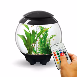 biOrb Halo 15L Aquarium in Grey with MCR LED Lighting and Heater Pack