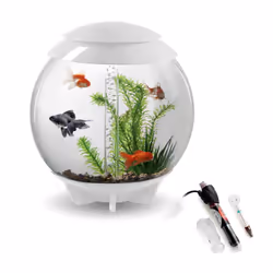 biOrb Halo 15L Aquarium in White with MCR LED Lighting and Heater Pack