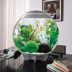 biOrb Halo 60L Aquarium in White with MCR LED Lighting with Heater Pack