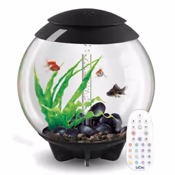 biOrb Halo 60L Aquarium in Grey with MCR LED Lighting with Heater Pack