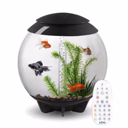 biOrb Halo 30L Aquarium in Grey with MCR LED Lighting and Heater Pack