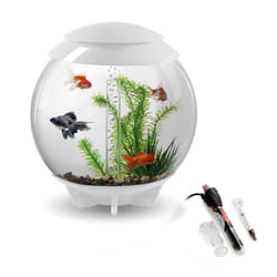 biOrb Halo 30L Aquarium in White with MCR LED Lighting and Heater Pack
