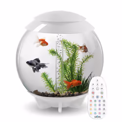 biOrb Halo 30L Aquarium in White with MCR LED Lighting and Heater Pack