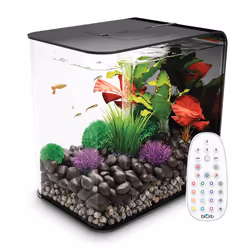 biOrb Flow 30L Aquarium, Black with MCR LED lighting and Heater Pack