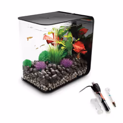 biOrb Flow 30L Aquarium, Black with MCR LED lighting and Heater Pack