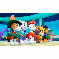 BANDAI NAMCO Entertainment Paw Patrol: On a Roll Standard English Nintendo Switch