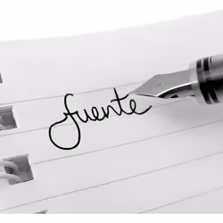 Zebra Fuente - Disposable Fountain Pen - Green Ink - Pack of 3