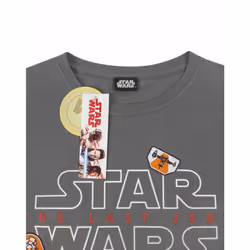 Star Wars Short Sleeved T-Shirt (Womens Grey) - X-Large