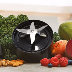 Nutribullet 1000 Series Part Extractor Blade