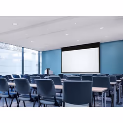 Sapphire AV SESC270B1610-A2 projection screen 3.12 m (123") 16:10
