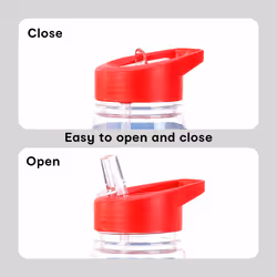 Avengers Plastic Sports Water Bottle With Straw Drinkware