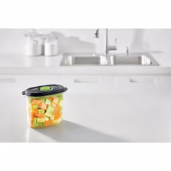 FoodSaver FFC023X, Box, Oval, 1.8 L, Black, Transparent, Tritan, 1 pc(s)